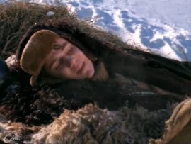 В созвездии быка