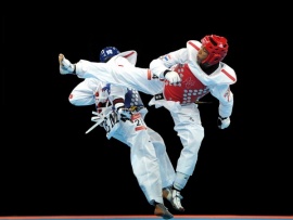 Тхэквондо. Кубок губернатора