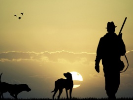 Большая загонная охота