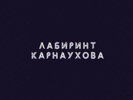 Лабиринт Карнаухова
