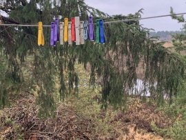 Сурские истории