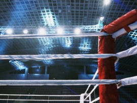 Профессиональный бокс. BetBoom. IBA. PRO 14. Трансляция из Москвы