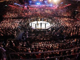 Бойцовское шоу Кулак. Сезон-2024