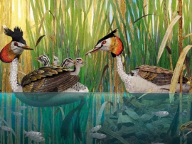 Здравствуй, мир!