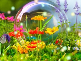 Телефильм (на татарском языке)