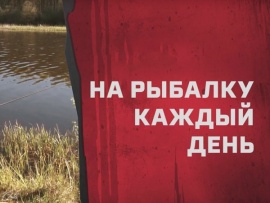 На рыбалку каждый день