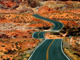 В лес за осиной