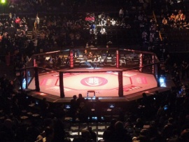 Смешанные единоборства. NAIZA FC 72