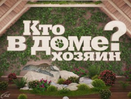 Кто в доме хозяин?