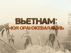 Вьетнам. Моя оранжевая боль