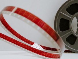 Остров морского котика