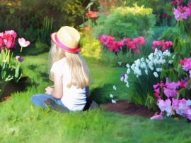 Сад и огород