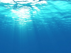 Загадки океана