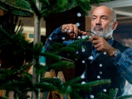 Нянька на Рождество