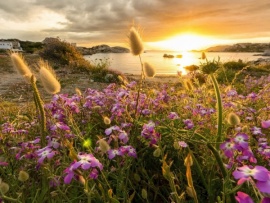 Край без окраин