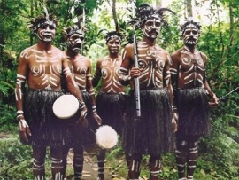 Хранители дождевого леса