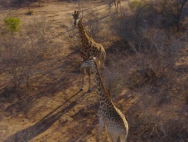 Африка с высоты птичьего полёта