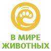 В мире животных