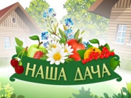 Наша дача