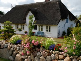 Городские садоводы. Липецк