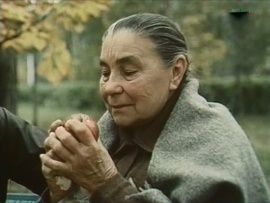 Деревья на асфальте