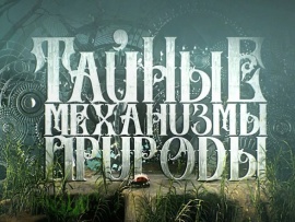 Тайные механизмы природы