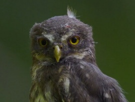 Березинский биосферный