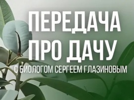 Передача про дачу