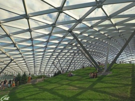 Стеклянный век