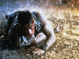 Әмбебап сарбаз