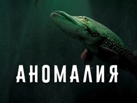Аномалия