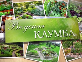 Вкусная клумба