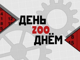 День Zoo Днем