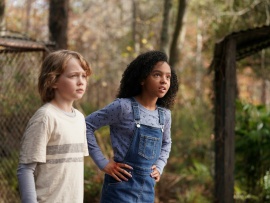 Парящий тигр