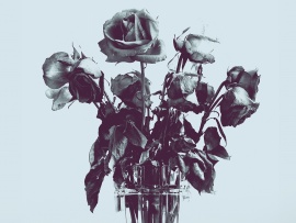 Вместе навсегда