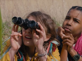 Загадка волшебного острова