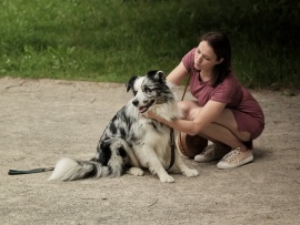 Знакомьтесь, пёс