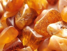 В поисках балтийского золота