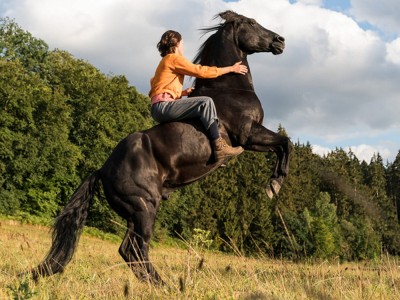 Восточный ветер 4: Легенда о Воине