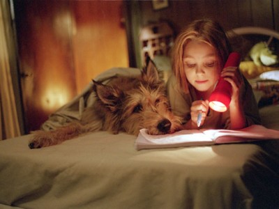 Благодаря Винн Дикси (6)