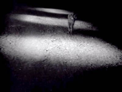 Судьба человека (3)