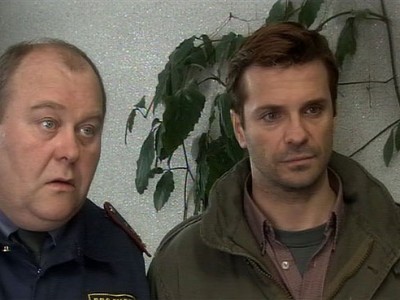 Гаишники (2)