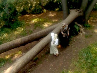 Барышня-крестьянка (4)