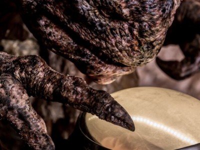 Дитя Осириса (5)