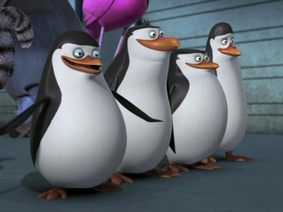 Пингвины из Мадагаскара