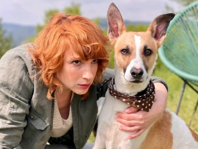 Гампи. Собачья жизнь