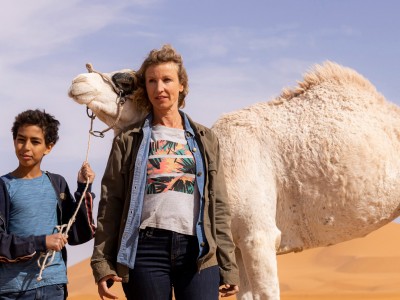 Принц пустыни