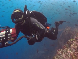 Плавающий с акулами