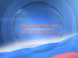 Общественная безопасность