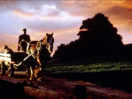 Бэйб. Четвероногий малыш (2)